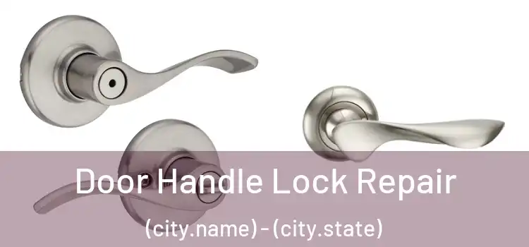 Door Handle Lock Repair (city.name) - (city.state)